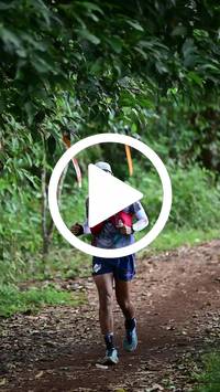 BIB:  <button type="button" onclick="openModal(27509942)" class="btn btn-primary btn-sm float-right" data-toggle="modal" data-target=".modal-high-quality">
                <i class="fa fa-download"></i> Download
                </button>